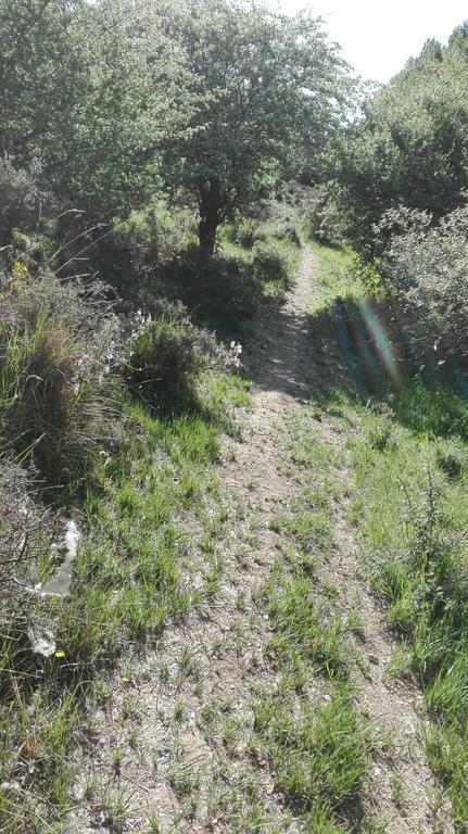 La Muralla Retortillo de Soria エクステリア 写真